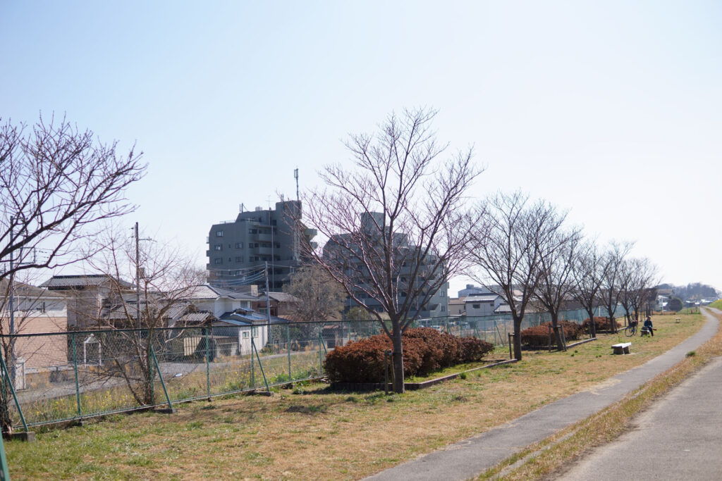 桜の開花状況2025