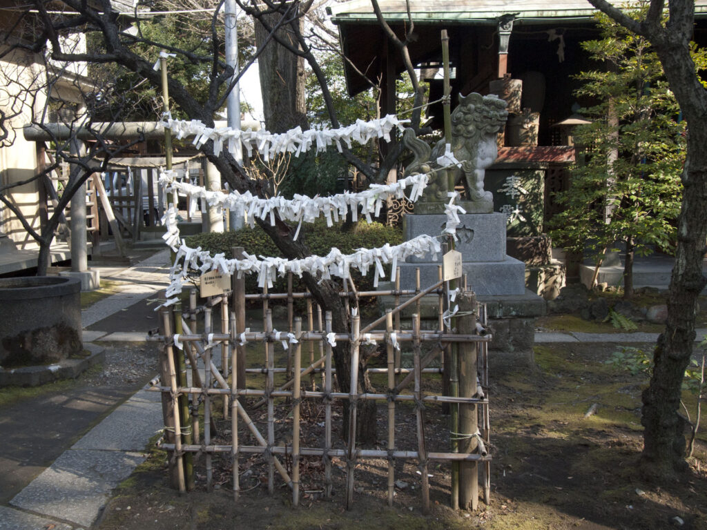 仲町氷川神社 おみくじ