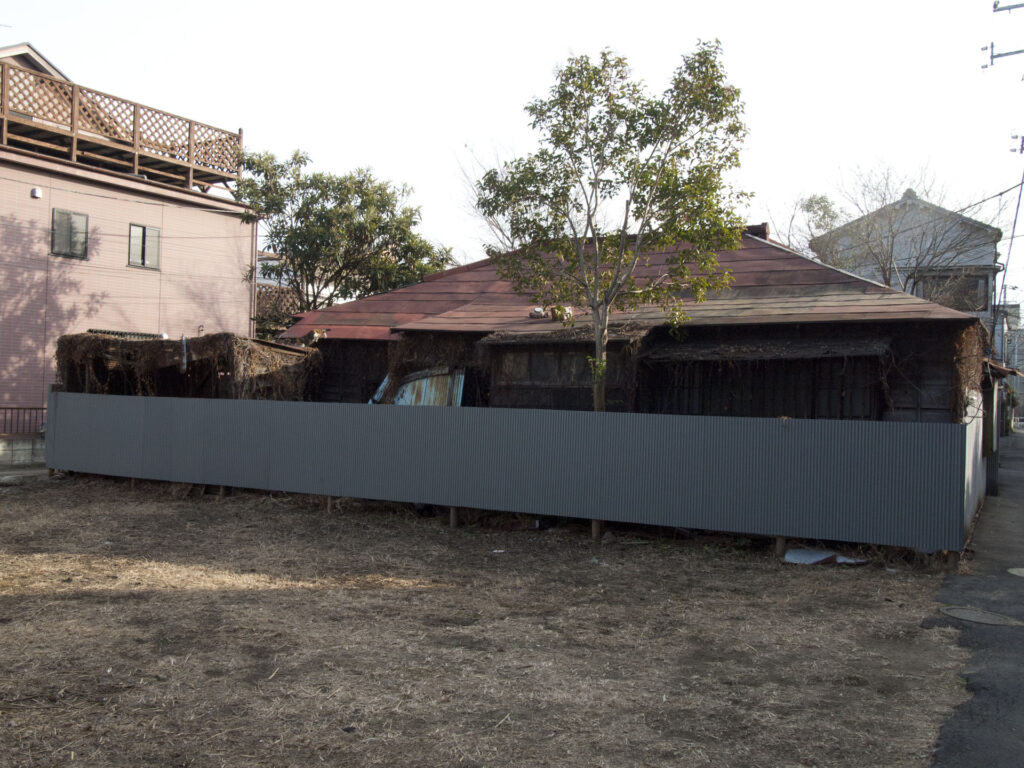 廃屋で日向ぼっこする猫