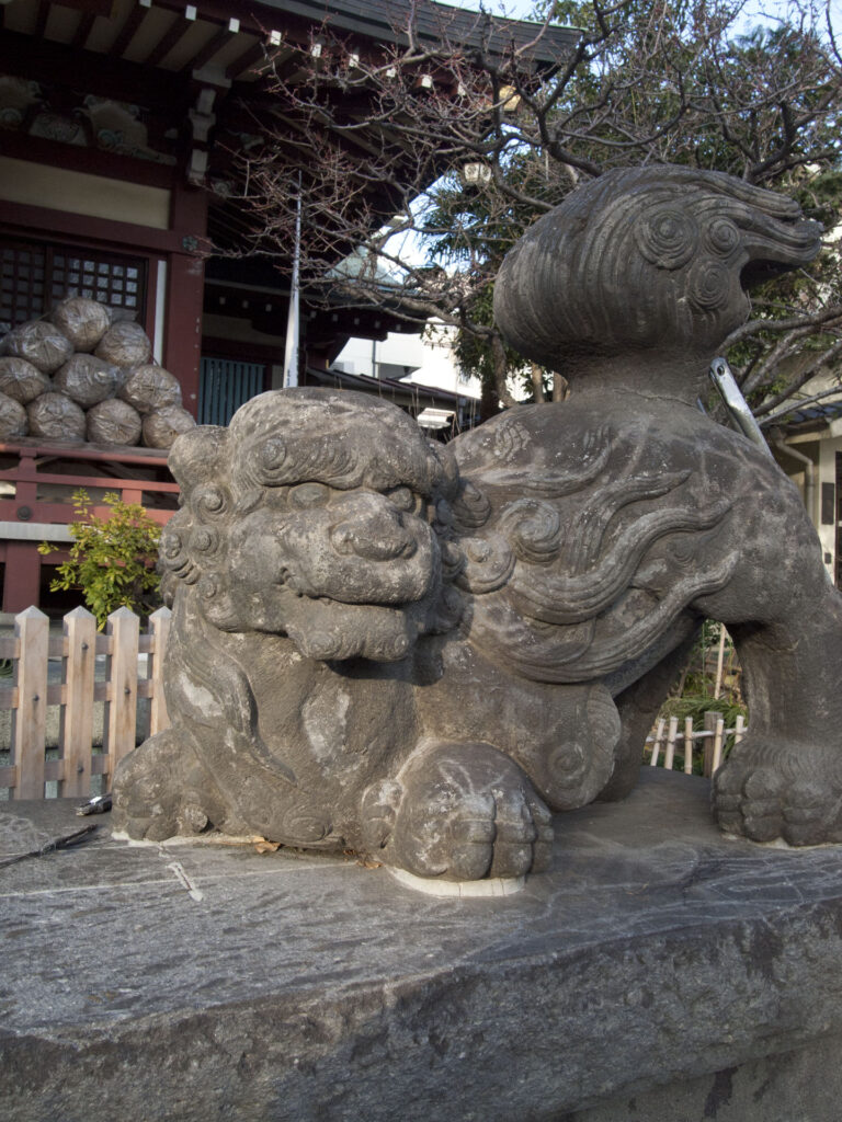 千住本氷川神社 狛犬