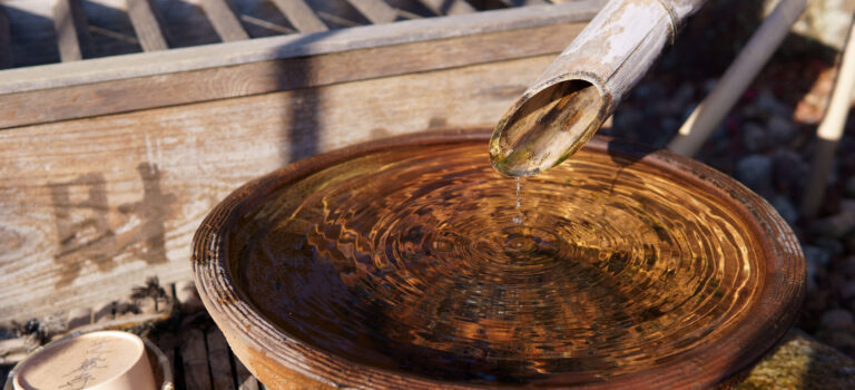 【正月】MTBで山越え松戸七福神巡り【2018-1】