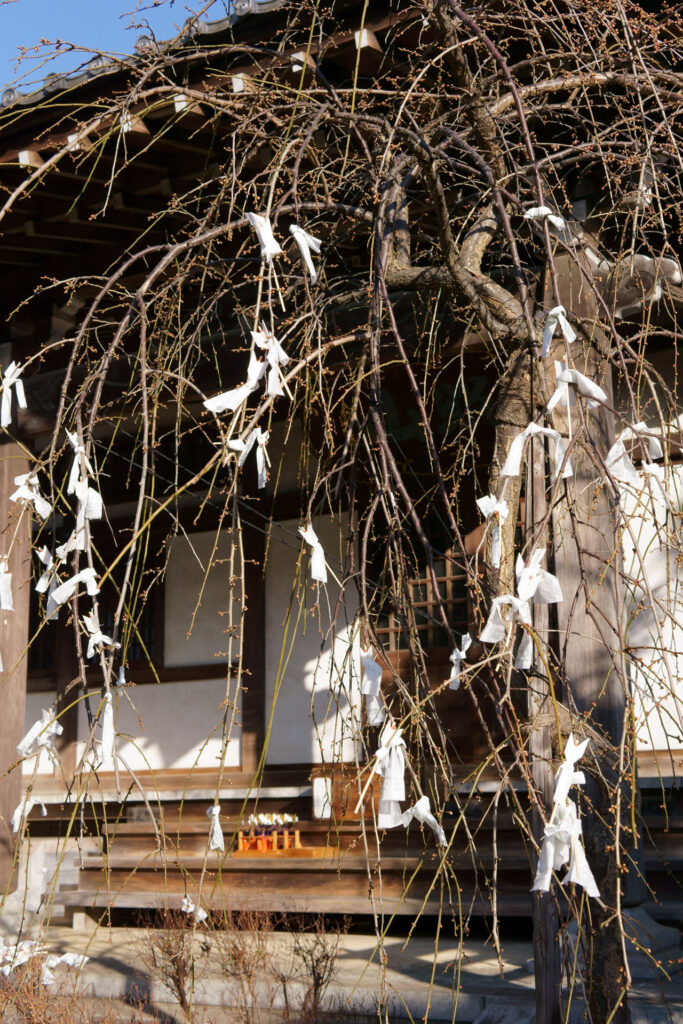 医王寺 おみくじ