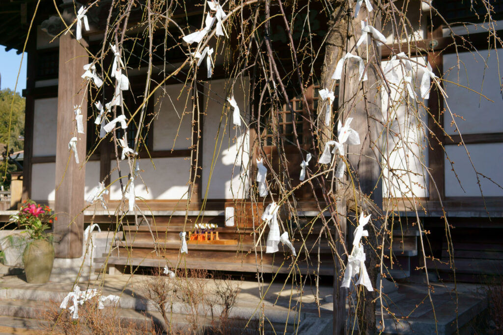 医王寺 おみくじ