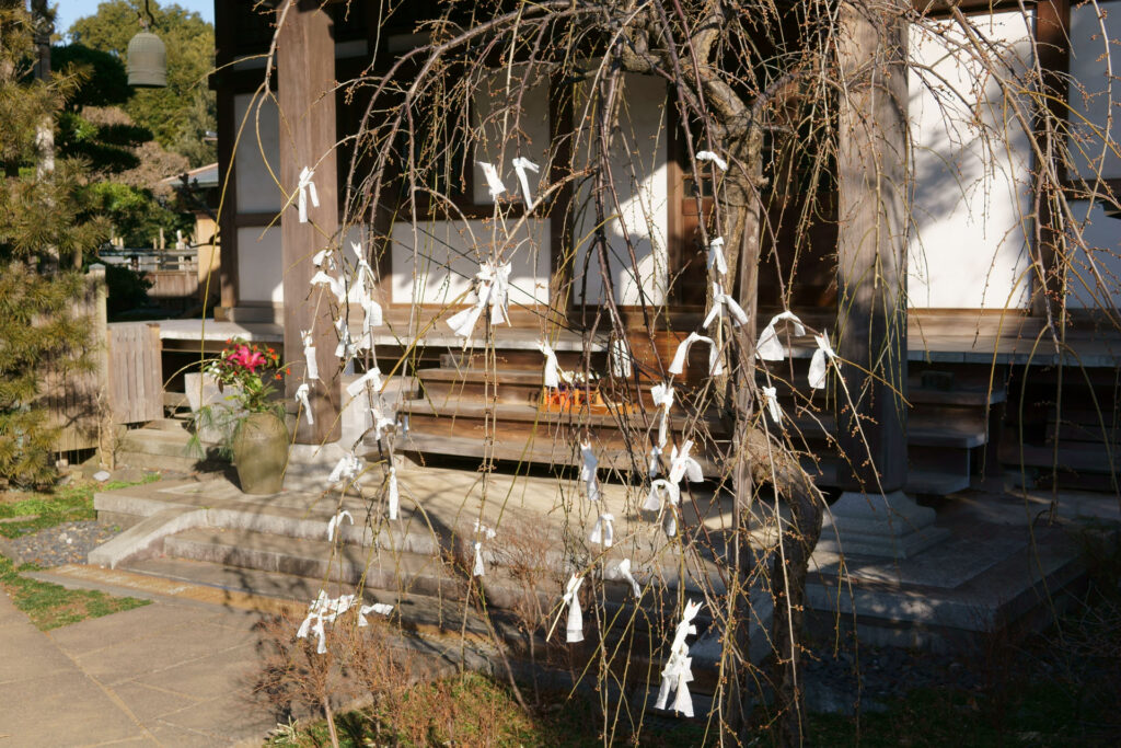 医王寺 おみくじ