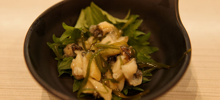 初めてのはま寿司 初めてのはま寿司