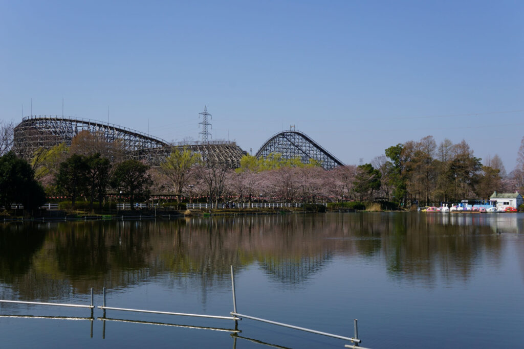 東武動物公園の桜