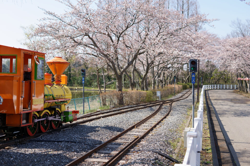 東武動物公園の桜