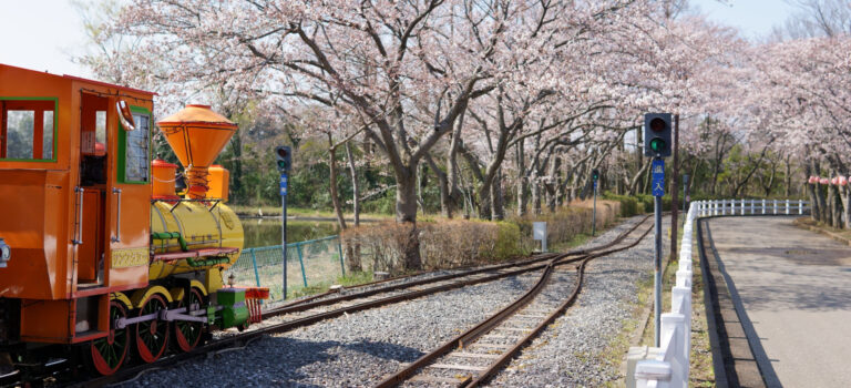 東武動物公園 隠れた桜の名所【2017-2】