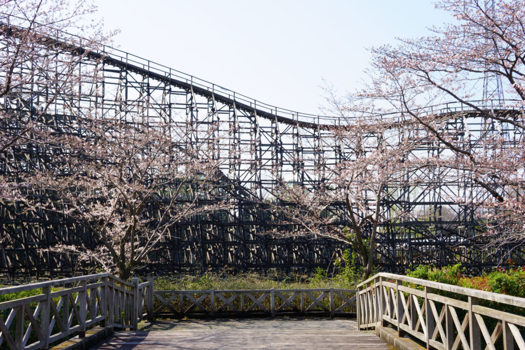 東武動物公園の桜