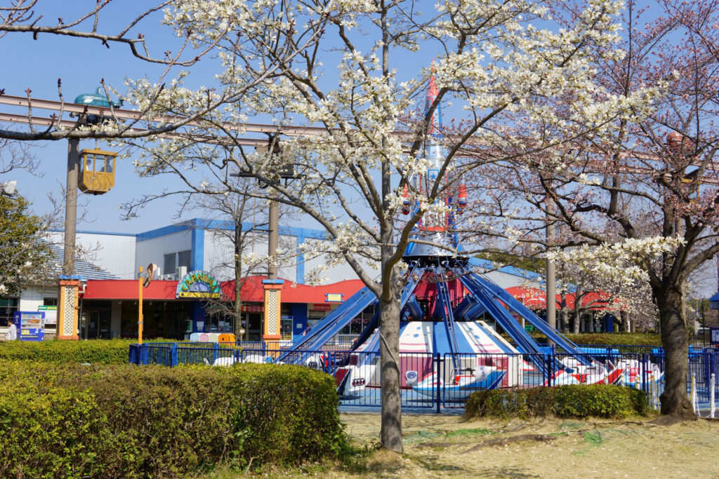 東武動物公園の桜