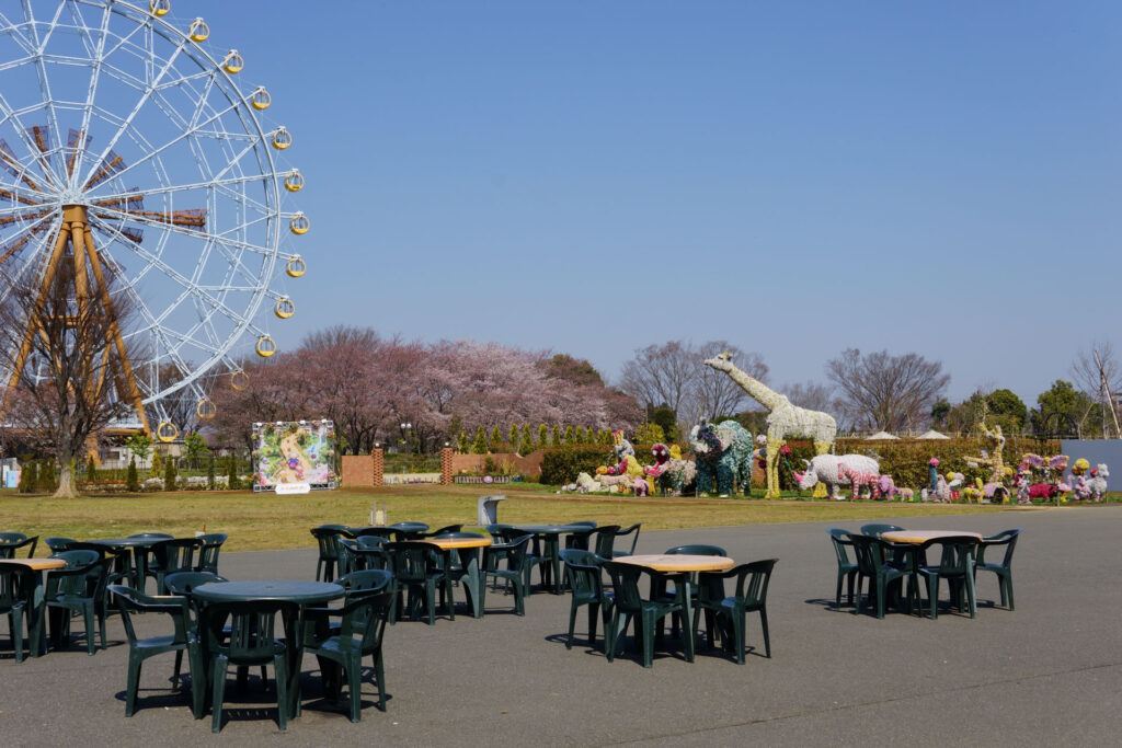 動物たちのランチ