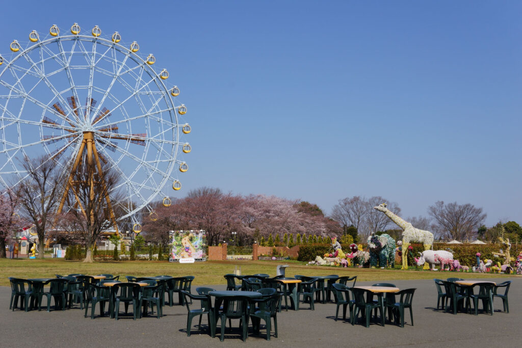 動物たちのランチ