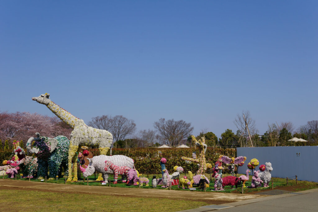 動物たちのランチ