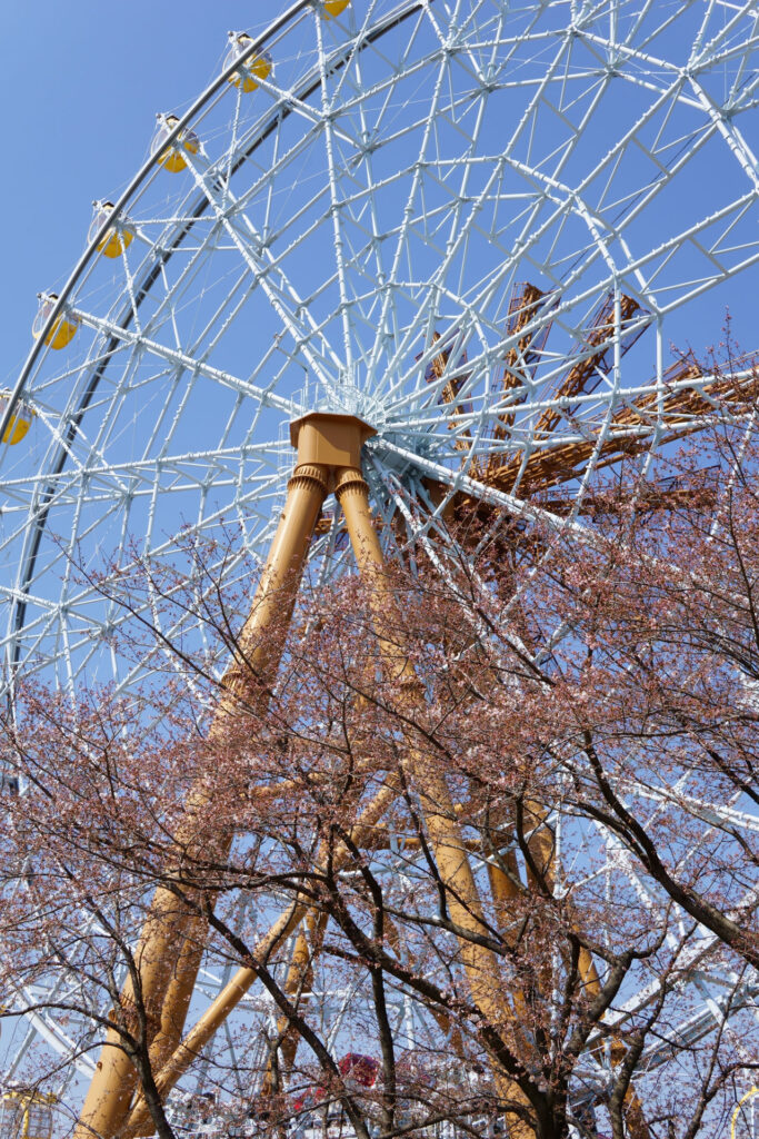 動物たちのランチ