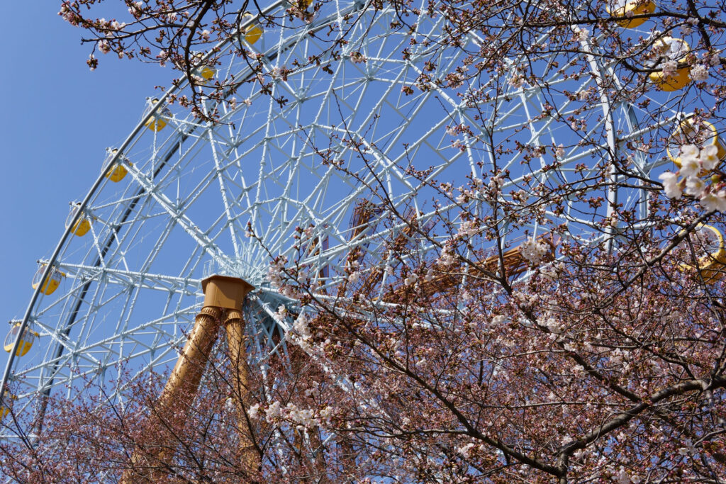 動物たちのランチ