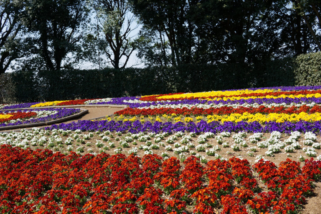 動物たちのランチ