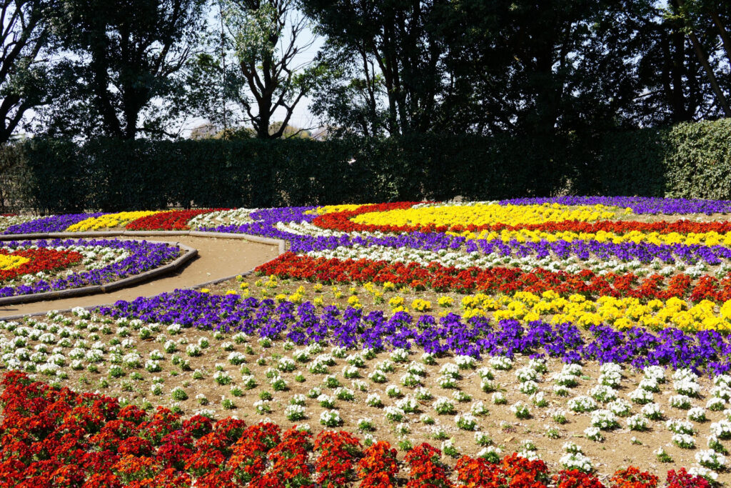 動物たちのランチ