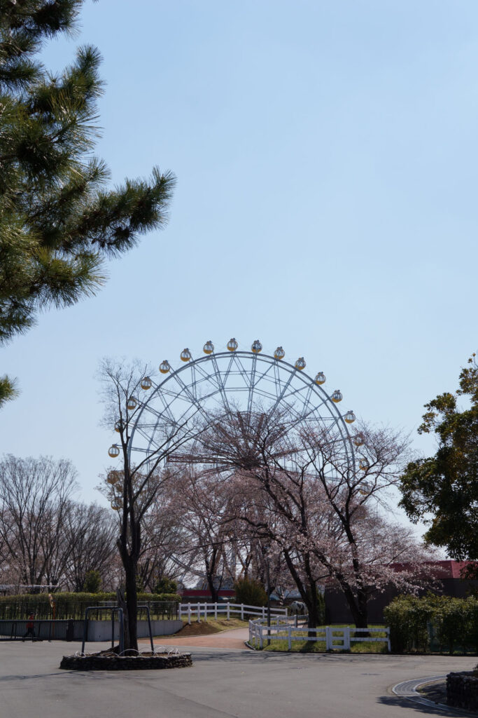 動物たちのランチ