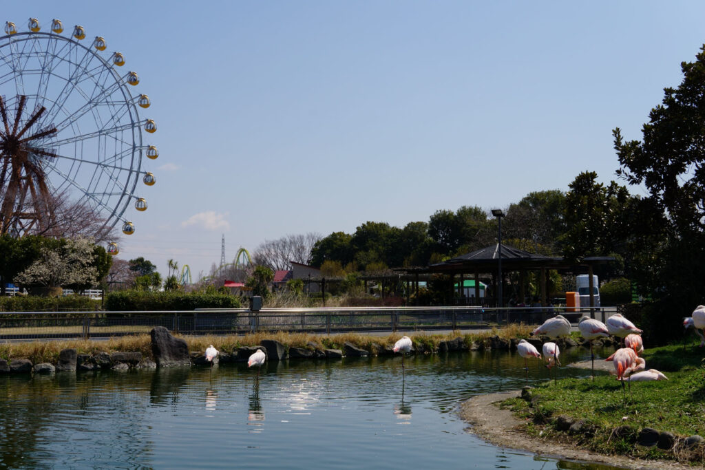 動物たちのランチ