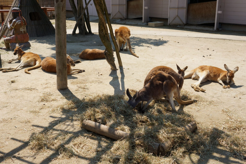 ハートフルガーデン | ローズガーデン