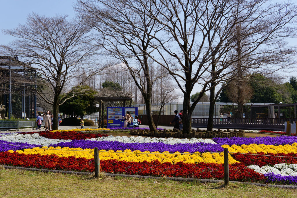 ハートフルガーデン | ローズガーデン