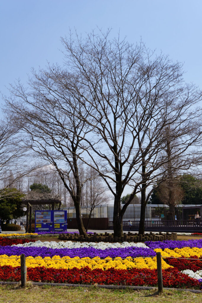 ハートフルガーデン | ローズガーデン