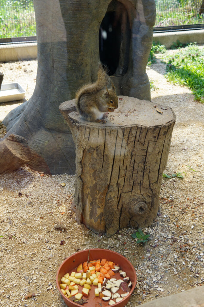 ハートフルガーデン | ローズガーデン