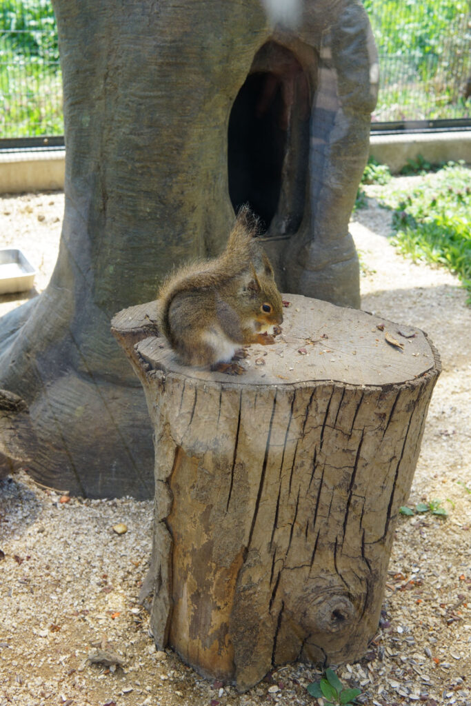 ハートフルガーデン | ローズガーデン