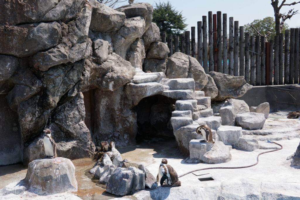 ハートフルガーデン | ローズガーデン