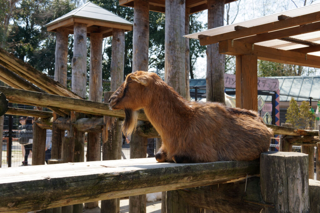 ハートフルガーデン | ローズガーデン
