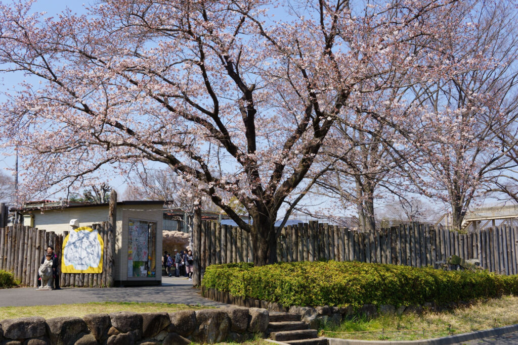 ハートフルガーデン | ローズガーデン