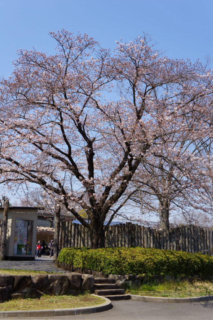 ハートフルガーデン | ローズガーデン