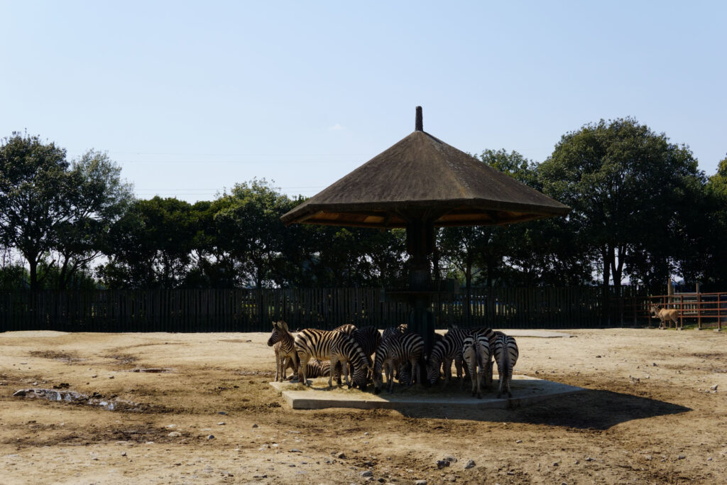 ハートフルガーデン | ローズガーデン