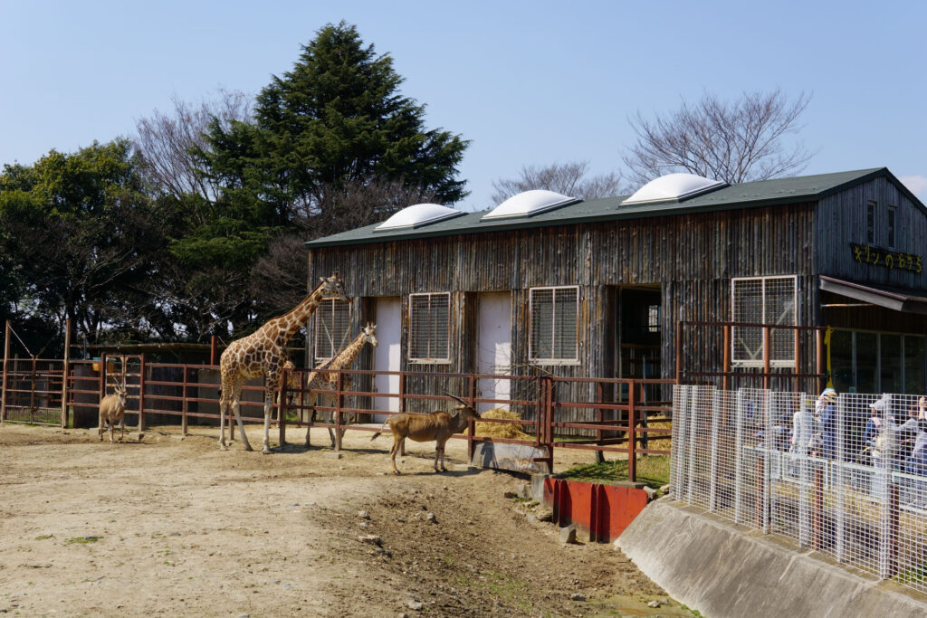 ハートフルガーデン | ローズガーデン