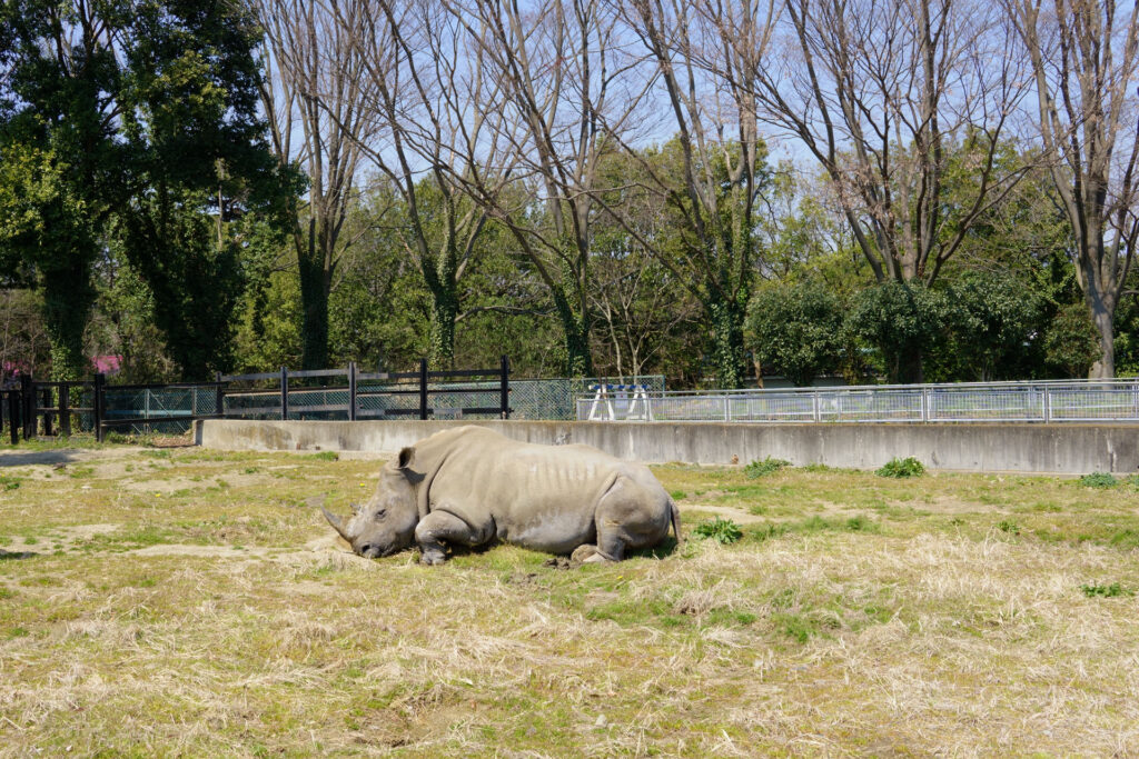 ハートフルガーデン | ローズガーデン