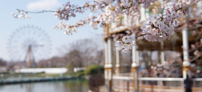 東武動物公園 隠れた桜の名所【2017-5】