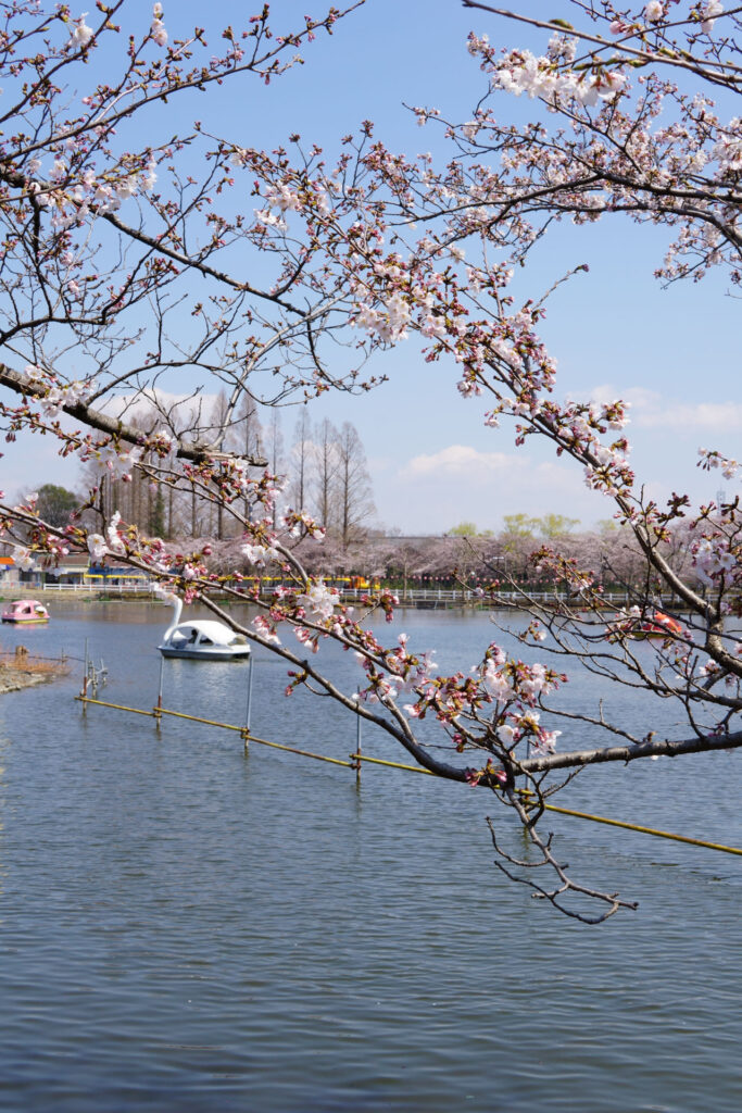 東武動物公園|水鳥の楽園