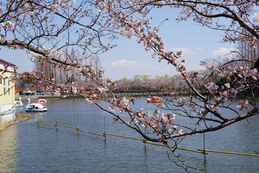 東武動物公園|水鳥の楽園