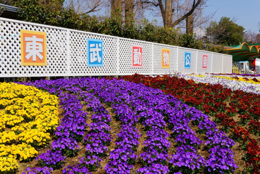 東武動物公園|水鳥の楽園