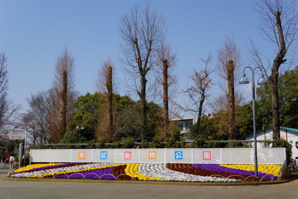 東武動物公園|水鳥の楽園