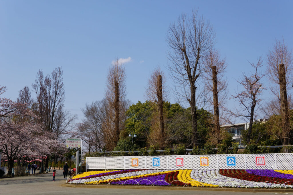 東武動物公園|水鳥の楽園