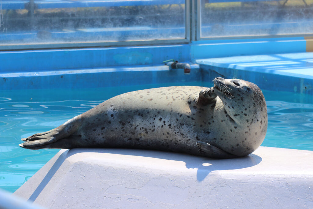 東武動物公園の動物達