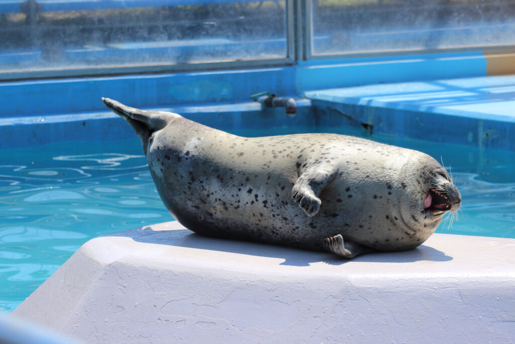 東武動物公園の動物達