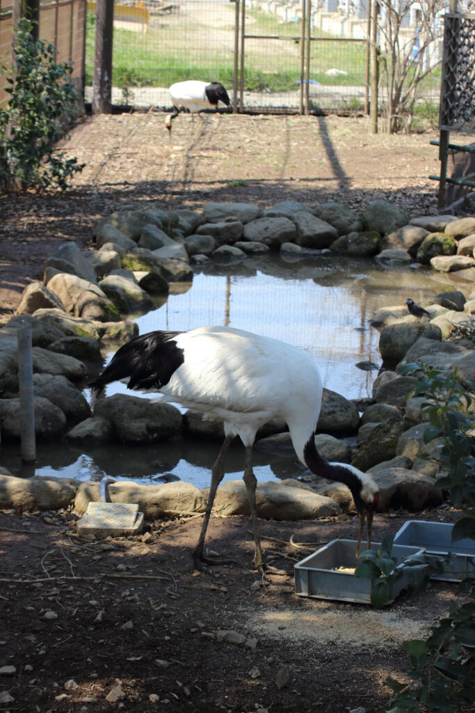 東武動物公園の動物達