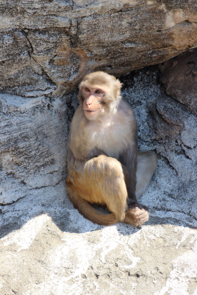 東武動物公園の動物達